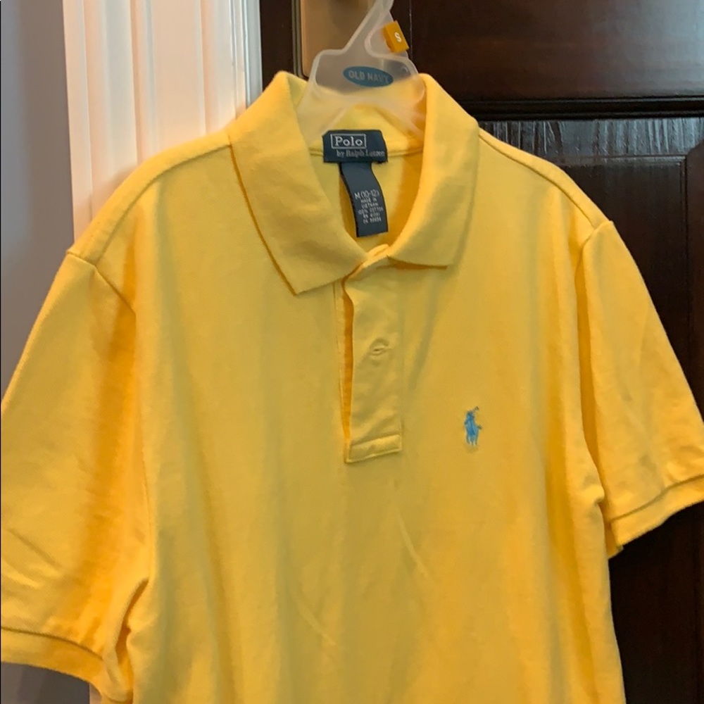 Polo collard shirt